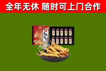 普陀烟酒回收冬虫夏草礼盒.jpg